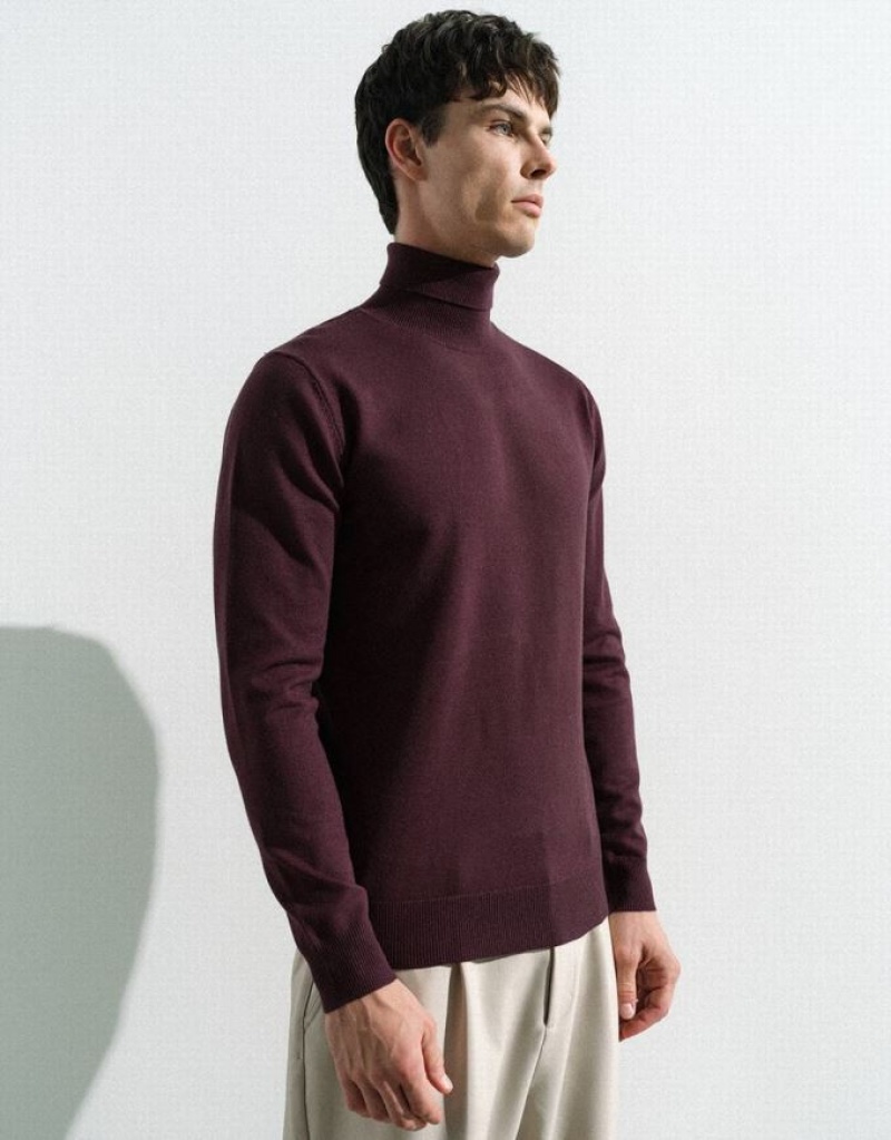 Urban Revivo Turtle Neck ニット カーディガン メンズ 赤 | 817629-YMW